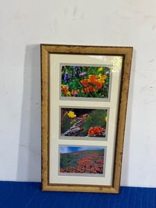 Framed picture of nature and bird