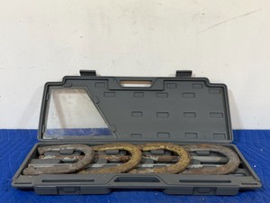 Franklin Horseshoe Set