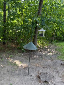 Shepards Hook, Squirrel Baffle and Bird Feeder