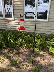 Humming Bird Feeder with Sheperard Hook