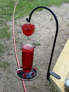 Humming Bird Feeder on Hook