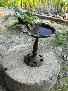 pedestal hummingbird birdbath and feeder constructed from rustic cast iron.
