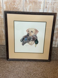 Framed, signed and numbered print - Not sure who the signature is - Lab with Mallard in its mouth - 5201000