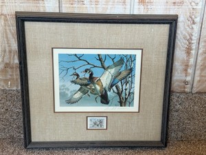 Framed and Signed Print by David Maass - Has 5 dollar Duck stamp (wood duck 1975) - picture of wood ducks