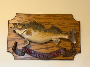 Taxidermy Wall Mounted Walleye on piece of wood with the words on the bottom - House of Red