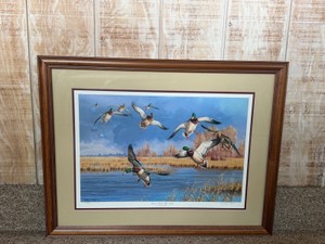 Framed, Signed and Numbered Print by Cynthie Fisher - Down from the North - 13594850