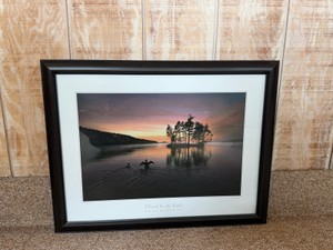 Framed Print by Brandenburg - Chased by the Light