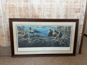 Framed, Signed and Numbered Print by Tony Bianca - Resting Place - Black Ducks - Ducks Unlimited Canada - 1992 Artist of the Year - 38595300