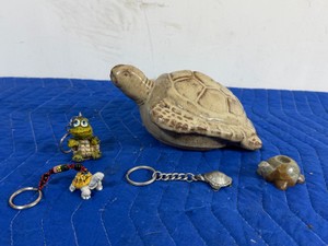 Lot of Collectible Turtles