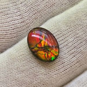 3.66 Carat Ammolite Doublet Retail $1,098