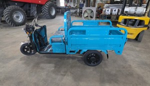 2026 - Unused - DUMP BED TRIKE - ET13