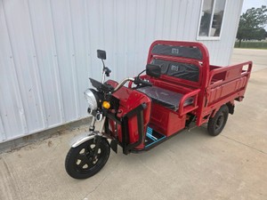 Unused - 2026 - DUMP BED TRIKE - ET13