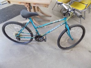 Murray Condor 20   10Speed Bike