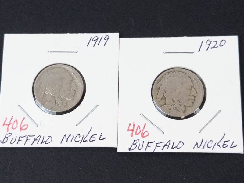 1919, 1920 Buffalo nickels