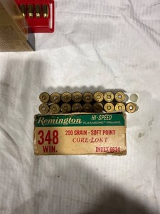 Remington .348 Win Ammunition