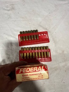 6mm Remington Ammunition Components