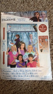 Frozen Party Photo Wall Kit - one backdrop, and 12 photo props.