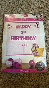 Mini Mouse Birthday Backdrop - 5 feet tall - with customizable stick sheets - Pink
