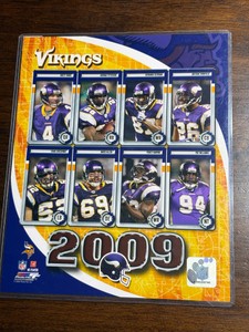 Minnesota Vikings 2009 Team Photo, Great for Framing, This is the Year Vikings Almost Made it to the Super Bowl