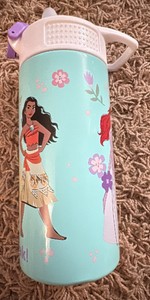 Metal Disney Princess Sippy Cup With Screwable Lid, Missing Plastic Cover, But Cup Still Works and Holds Liquid