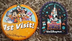 Disney World Pin and Magnet, Great for Families That Recently Traveled to Disney World