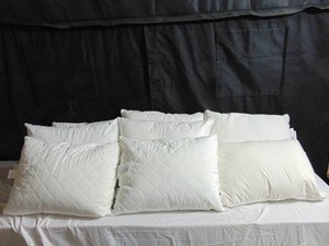 Lot of 8 Miscellaneous Standard size pillows