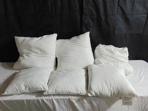 Lot of 6 Miscellaneous Pillows
