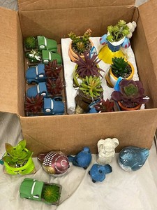Ceramic Succulent Planters & Figurines Mixed Lot