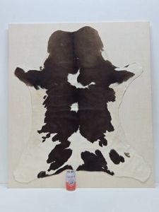 Modern Mounted Cow Skin Rug or Wall Hanging&nbsp