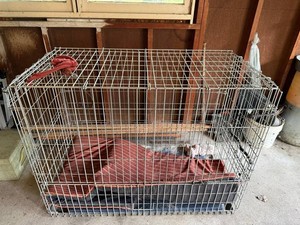 Dog Crate - Wire Kennel 47 X 24 X 39 in