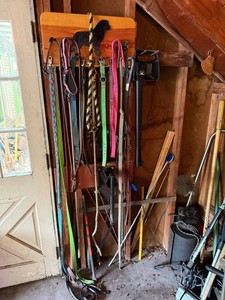Dog Leashes and Collars Mixed Lot