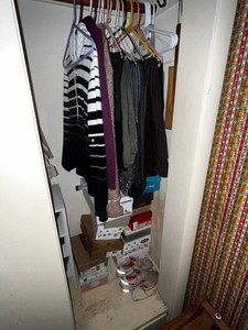 Womens Clothing & Shoes Mixed Lot - Coldwater Creek, Liverpool, Clarks - see orig tags