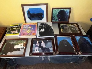 Dog Training Books, VHS Tapes & Framed Dog Photos Mixed Lot