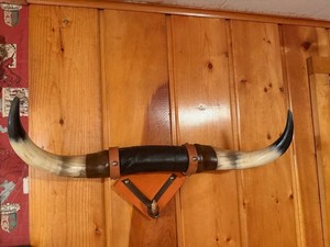 Longhorn Wall Mount Rustic Western Decor