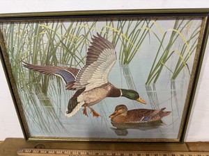 Duck Print