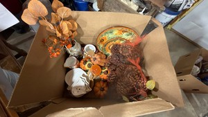 Box of Miscellaneous Fall Decor