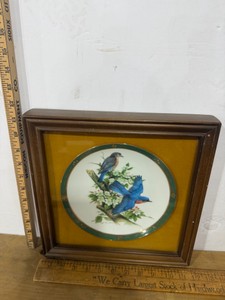 Bird Plate Framed