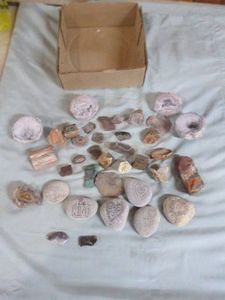 Small Box of Geodes, Agates, Petrified Wood