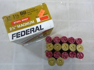 Federal Magnum 12 Gauge Shotshells