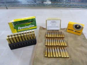 Rifle Cartridges and Scope Mount