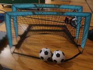 2 SMALL SOCCER NETS  2 SOCCER BALLS