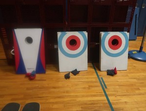 6 BOARDS (3 SEPERATE GAMES) OF BEAN  BAGS