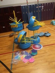 DISC GOLF BASKETS WITH FRIZBEES