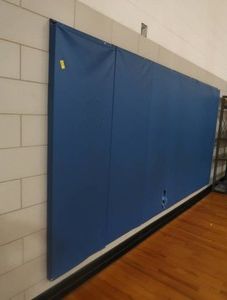 BLUE PADDED BACKBOARD