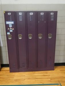 5 PURPLE CONNECTED LOCKERS