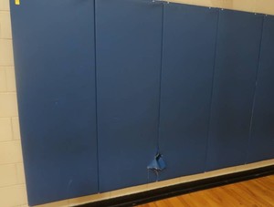 BLUE PADDED GYM MATTS