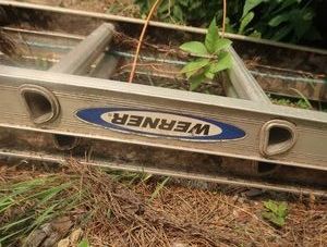WARNER EXTENSION LADDER