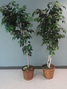 ARTIFICIAL TREES  HOME DECOR TREES