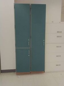 LARGE FREE STANIDING CABINET