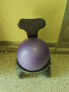 CLASSIC BALANCE BALL CHAIR